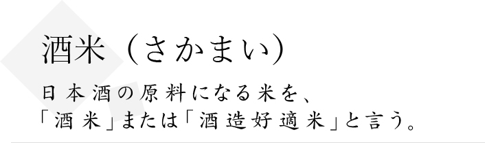 酒米